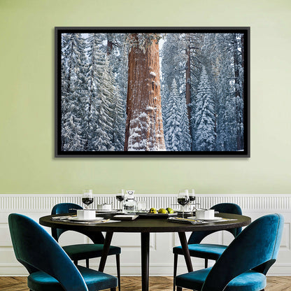Winter Giant Sequoia in Snowy Forest Wall Art