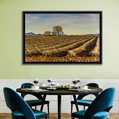 Rustic Provence Lavender Rows at Golden Hour Wall Art