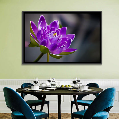 Purple Water Lily Close-up Wall Art