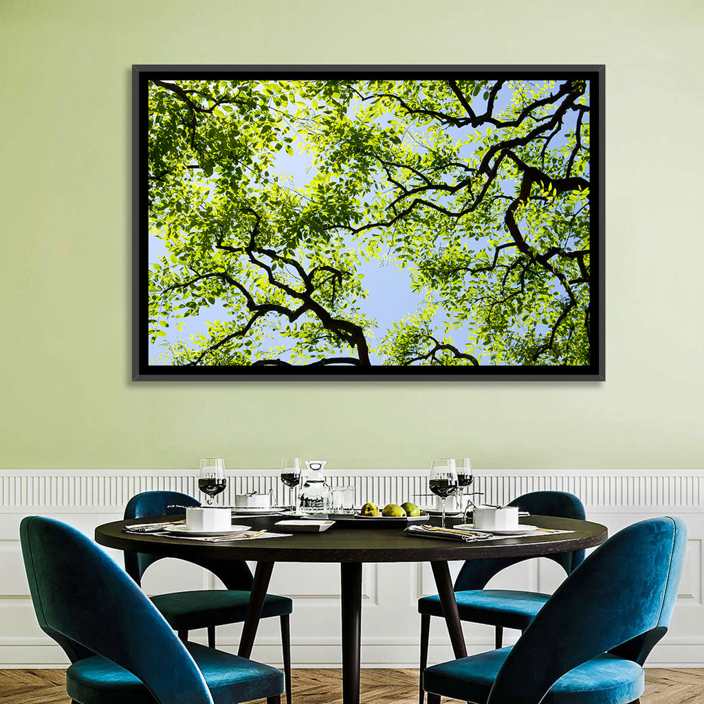 Sunlit Tree Canopy Wall Art