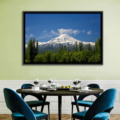 Mount Ararat Wall Art