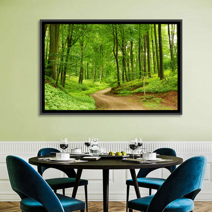 Sunlit Forest Path Wall Art
