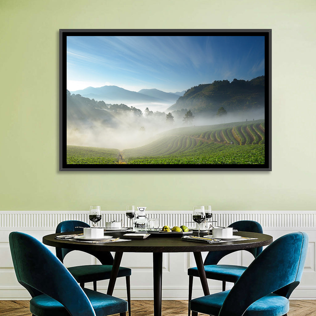 Sunlit Terraced Tea Hills Wall Art