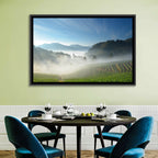 Sunlit Terraced Tea Hills Wall Art