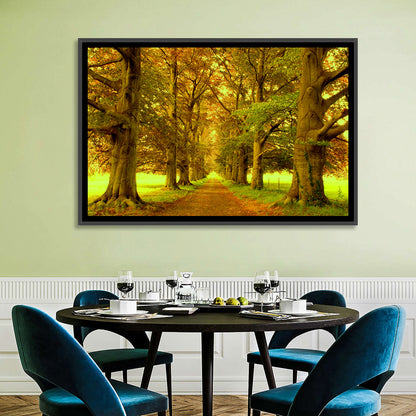 Beech Tree Lane at Golden Hour Wall Art