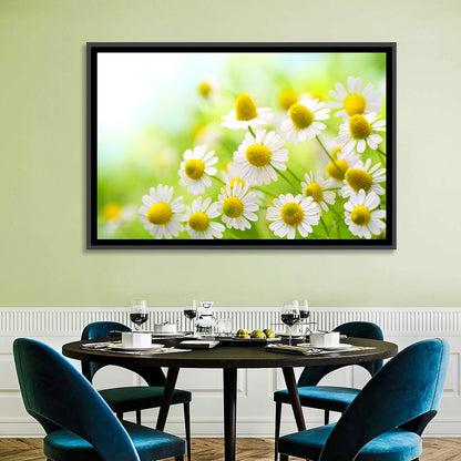 Chamomile Close-up Wall Art
