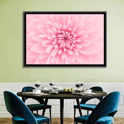 Pink Chrysanthemum Close-up Wall Art
