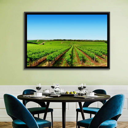 Sunlit Vineyard Rows Wall Art