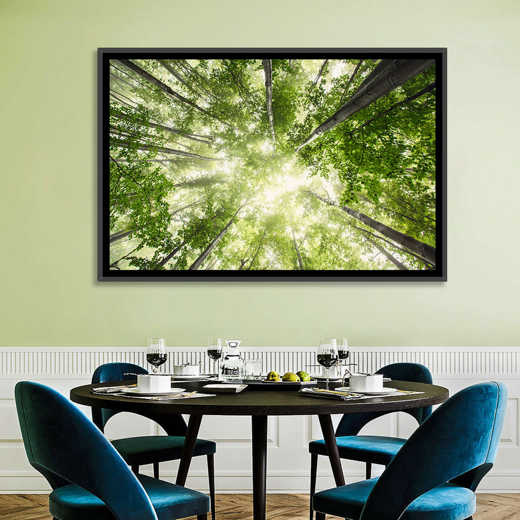 Spring Canopy in Morning Mist Wall Art