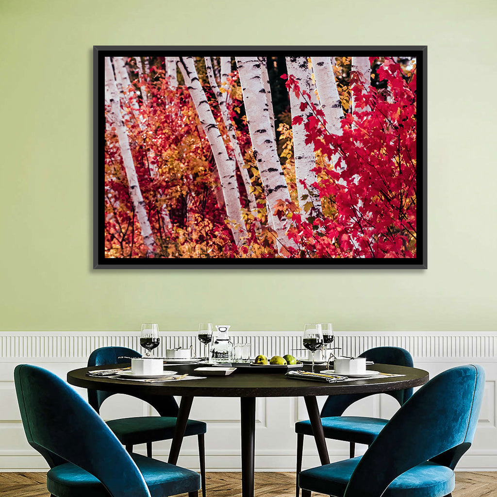Autumn Birches with Crimson Maples Wall Art