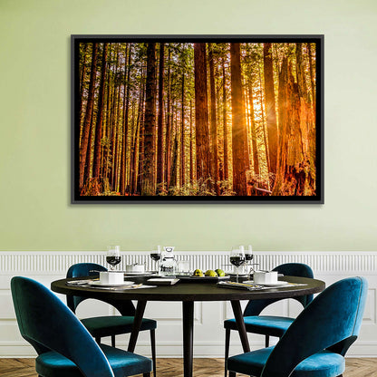 Golden Hour Redwood Sunburst Wall Art
