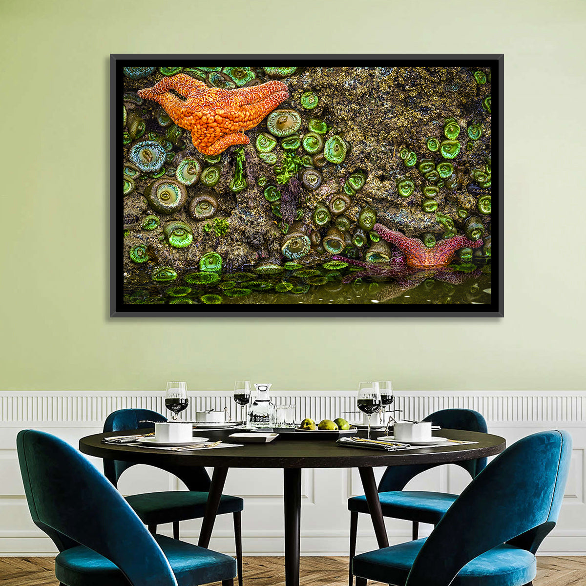Orange Starfish Tide Pool Wall Art