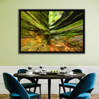 Turkey Run State Park Canyon Wall Art