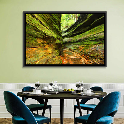 Turkey Run State Park Canyon Wall Art