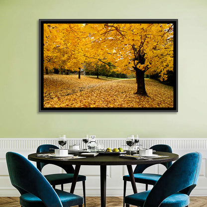 Baltimore Autumn Foliage Wall Art
