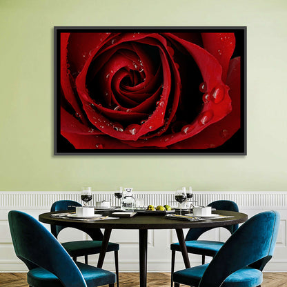 Red Rose with Dew Drops Wall Art