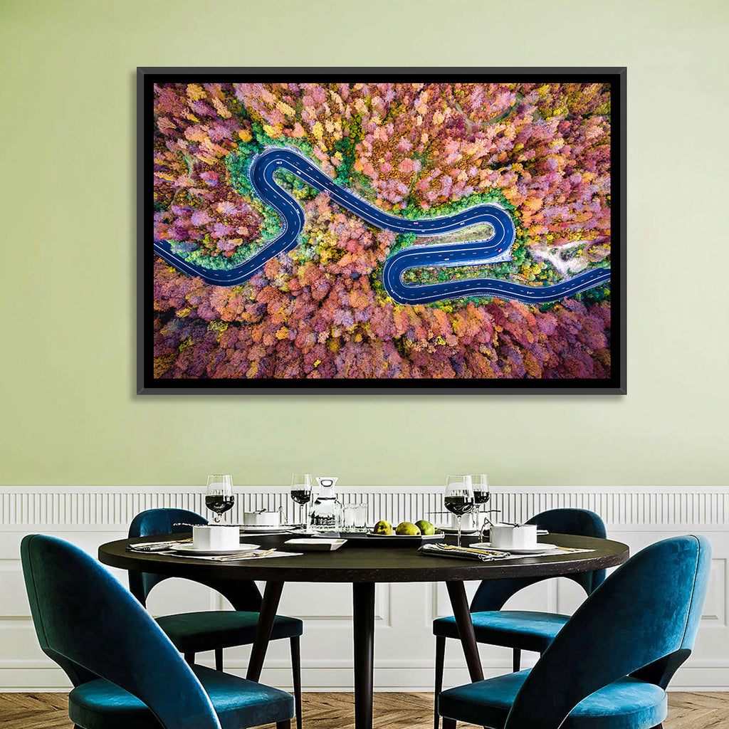 Aerial Winding Road Wall Art