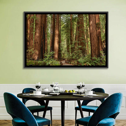 Muir Woods Redwood Trail Wall Art