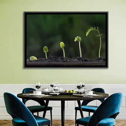 Five-stage Plant Growth Wall Art