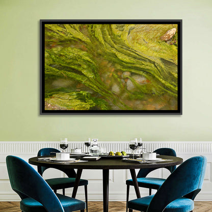 Macro Algae Stream Wall Art