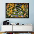 Autumn Winding Forest Road Wall Art