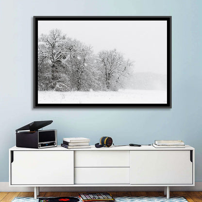 Snow-covered Trees in Fog Wall Art