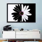 Black and White Daisy with Purple Ring Wall Art