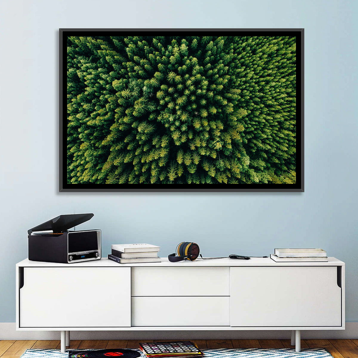 Aerial Conifer Canopy Wall Art