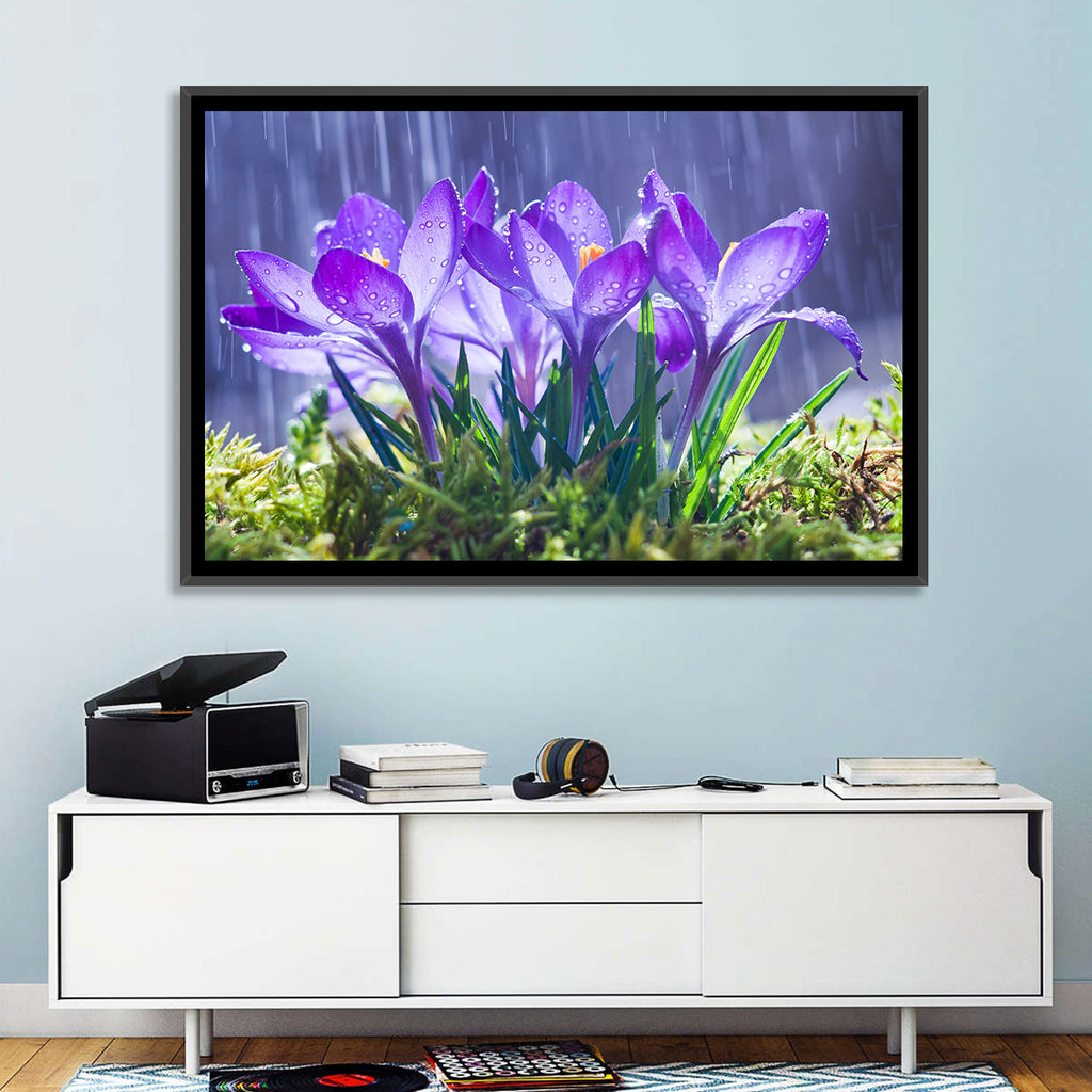 Rainy Purple Crocuses Wall Art
