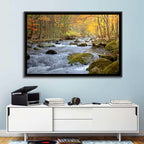 Autumn Mountain Stream Wall Art