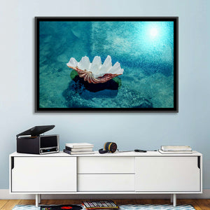 Beach Shell Wall Art