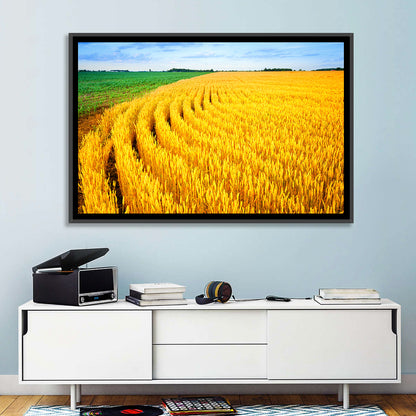 Summer Wheat Field with Curved Paths Wall Art