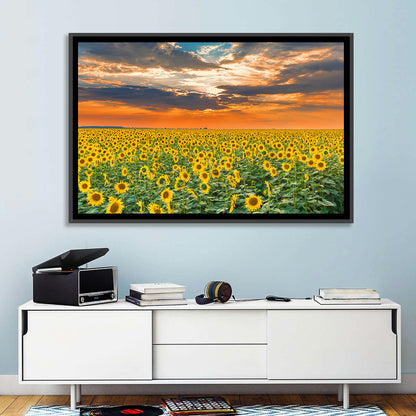 Golden Hour Sunflower Field Wall Art