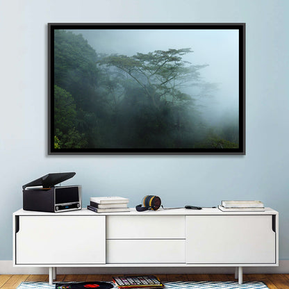 Misty Rainforest Canopy Wall Art