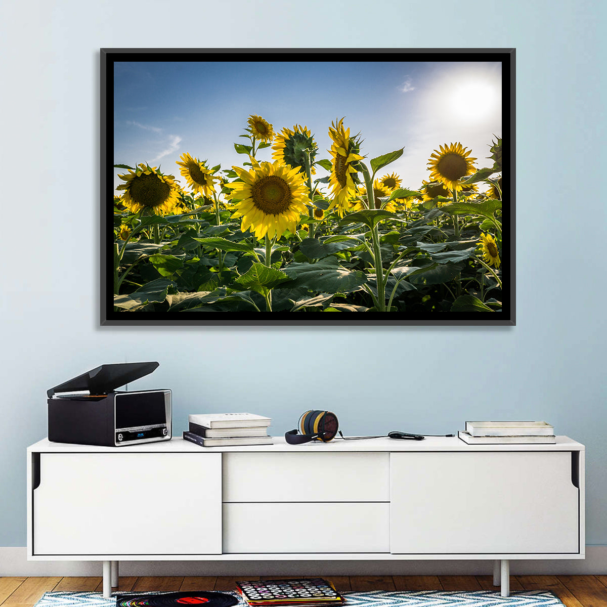 Backlit Sunflower Field Wall Art in a room, landscape