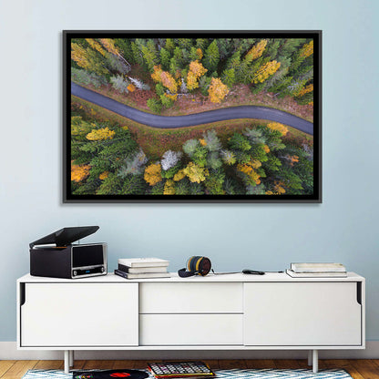 Aerial Autumn Forest Road Wall Art
