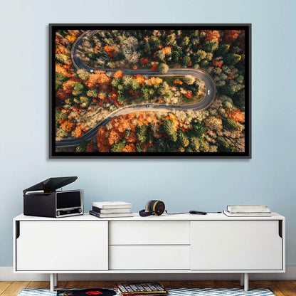 Aerial Winding Autumn Forest Road Wall Art