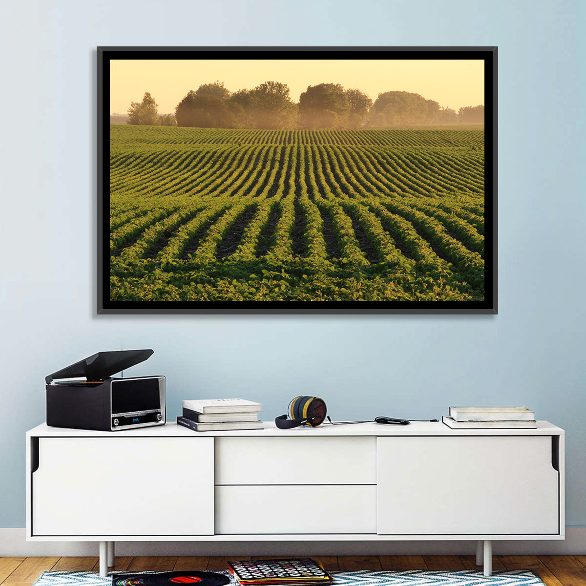 Misty Soybean Field at Dusk Wall Art