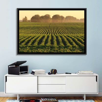 Misty Soybean Field at Dusk Wall Art