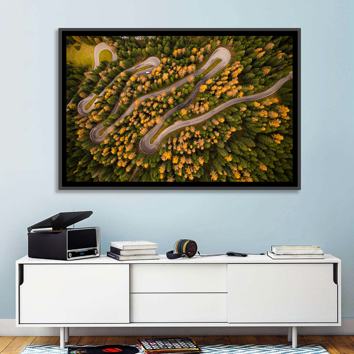 Aerial Curvy Forest Road Wall Art