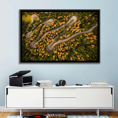 Aerial Curvy Forest Road Wall Art