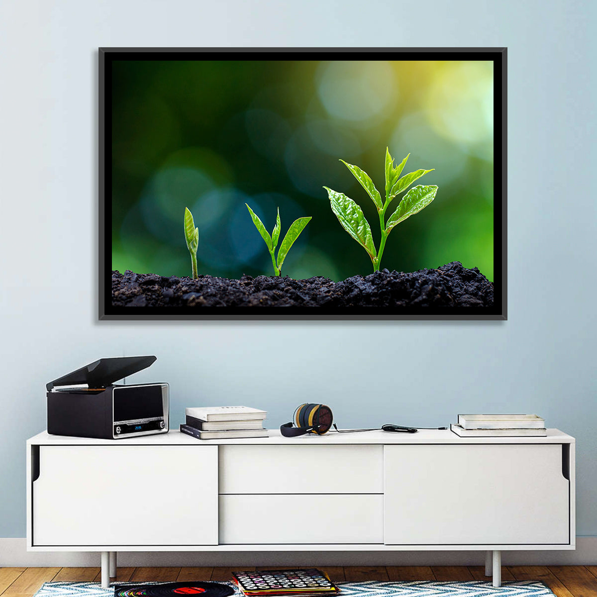 Seedling Growth Stages Wall Art in a room, landscape