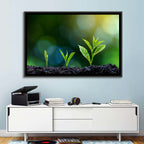Seedling Growth Stages Wall Art