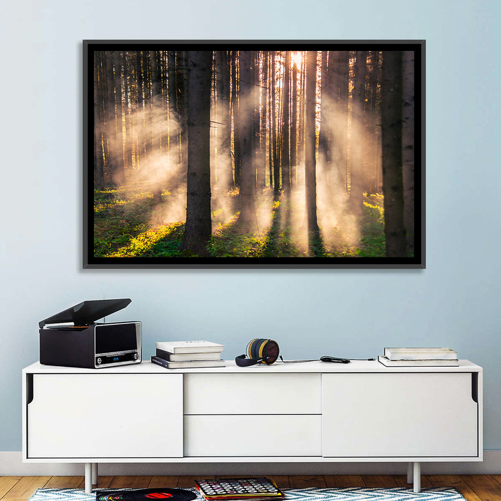 Sunrise Through Misty Forest Wall Art