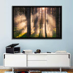 Sunrise Through Misty Forest Wall Art