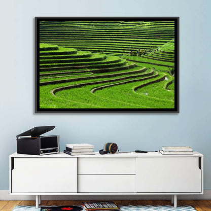 Lush Rice Terraces Wall Art