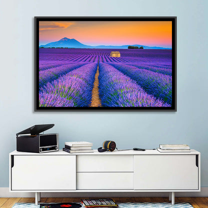 Valensole Lavender Fields at Sunset Wall Art