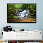 Blue Ridge Mossy Waterfall Wall Art