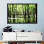 Sunlit Swamp Forest Wall Art