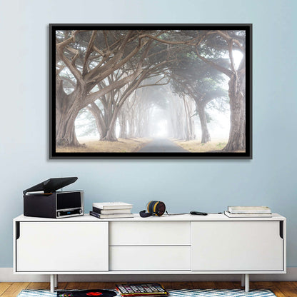 Misty Cypress Tunnel Wall Art